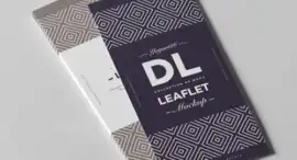 Flyer DL (Glossy paper 115gsm)