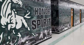 Full Wall Wraps